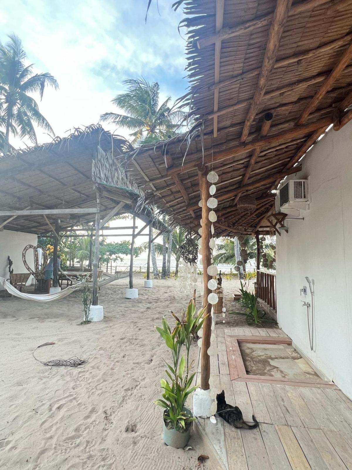 The Sanctuary Bed & Breakfast El Nido Ngoại thất bức ảnh